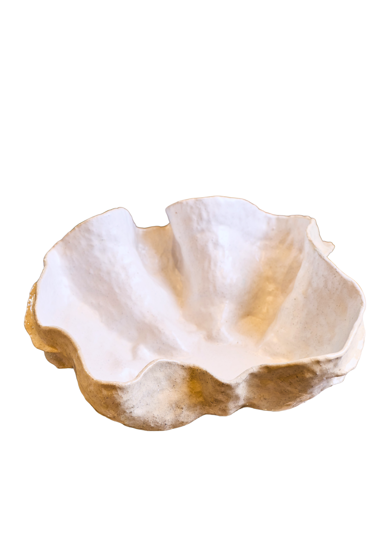 Ceramic Seashell Vessel